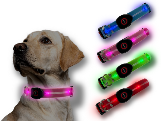 Collare_led_rosa_tutte_le_taglie