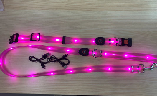 Collare e Guinzaglio per Cani con Luce LED Monocolore – Ricaricabile USB, Impermeabile, Regolabile, Elegante e Sicuro per Passeggiate Notturne