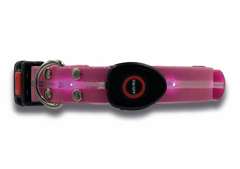 Collare Led per Cani - Rosa