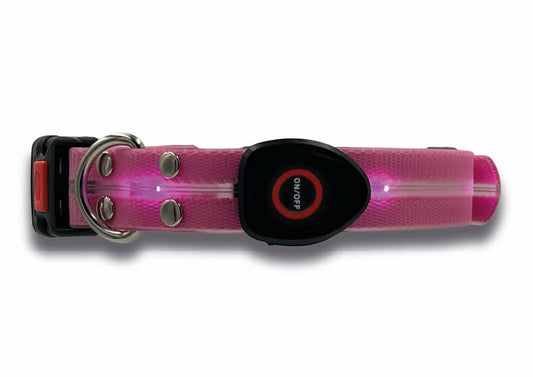 Collare Led per Cani - Rosa
