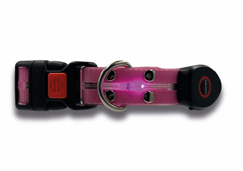 Collare Led per Cani - Rosa