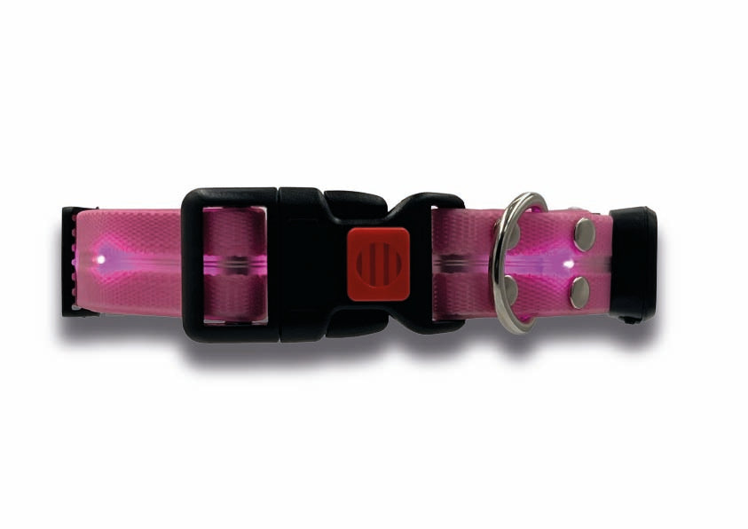 Collare Led per Cani - Rosa