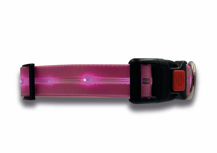 Collare Led per Cani - Rosa
