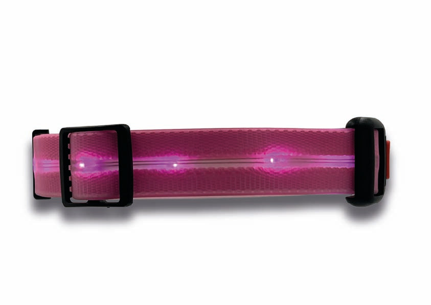 Collare Led per Cani - Rosa