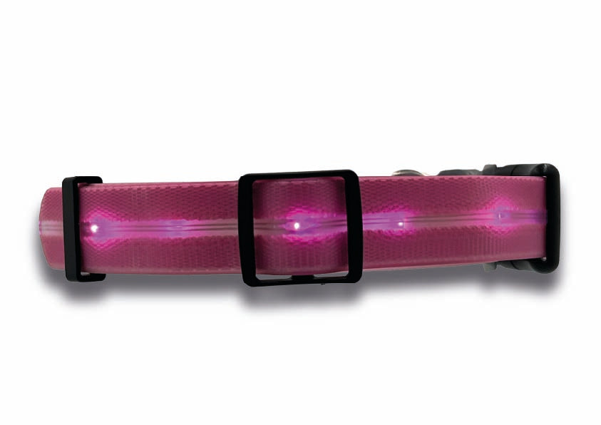 Collare Led per Cani - Rosa