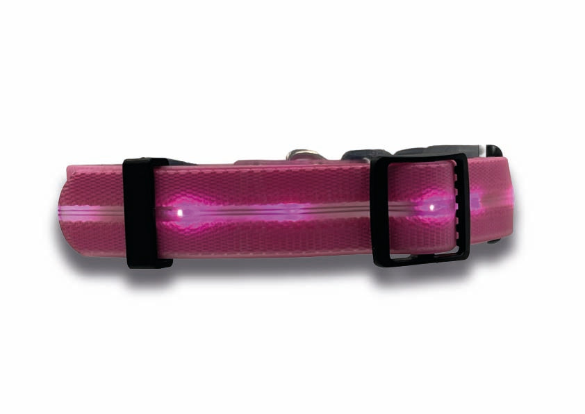 Collare Led per Cani - Rosa